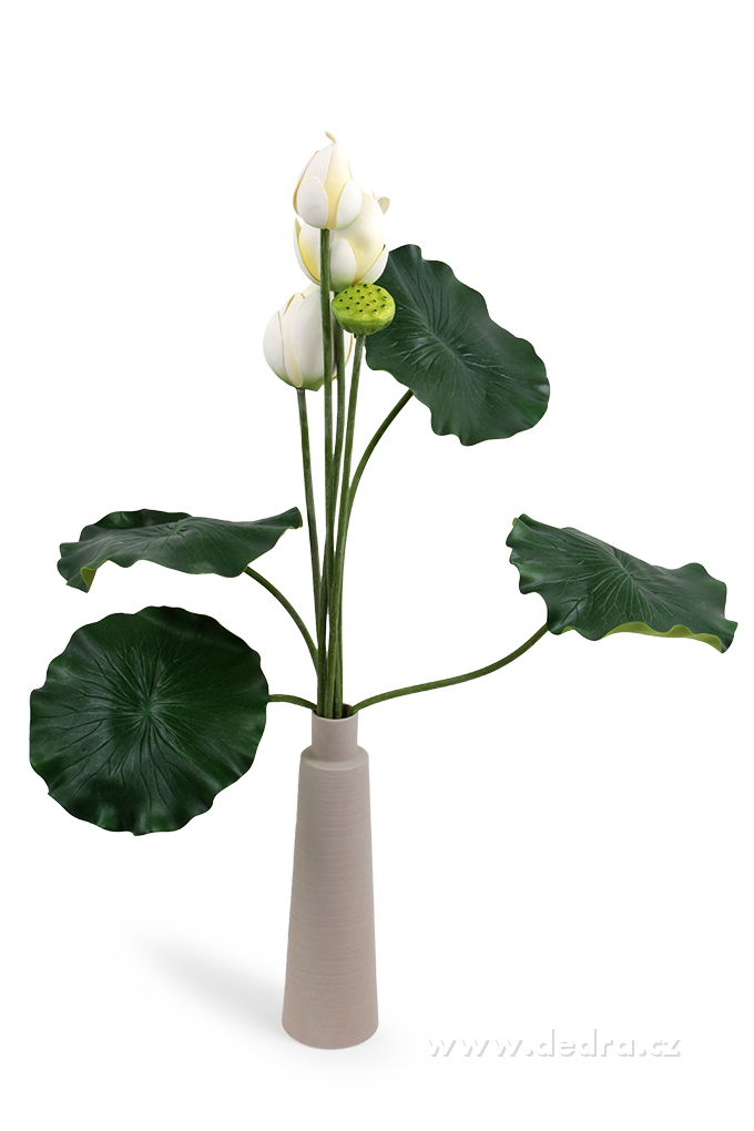 DA8573-Lotosové súkvetia XXL biele ateliérová kvetina