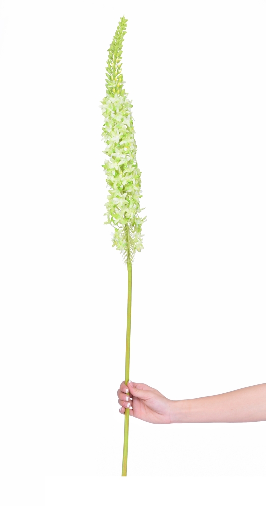 VERONICA bílo-zelená, výška cca 130 cm
