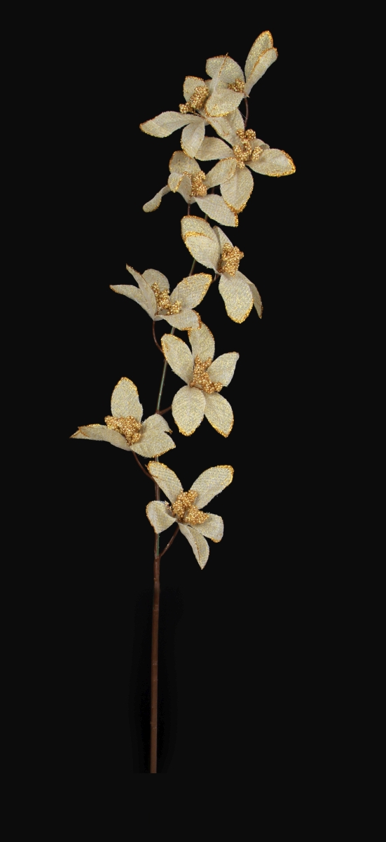Květy zlaté orchideje, délka cca 90 cm