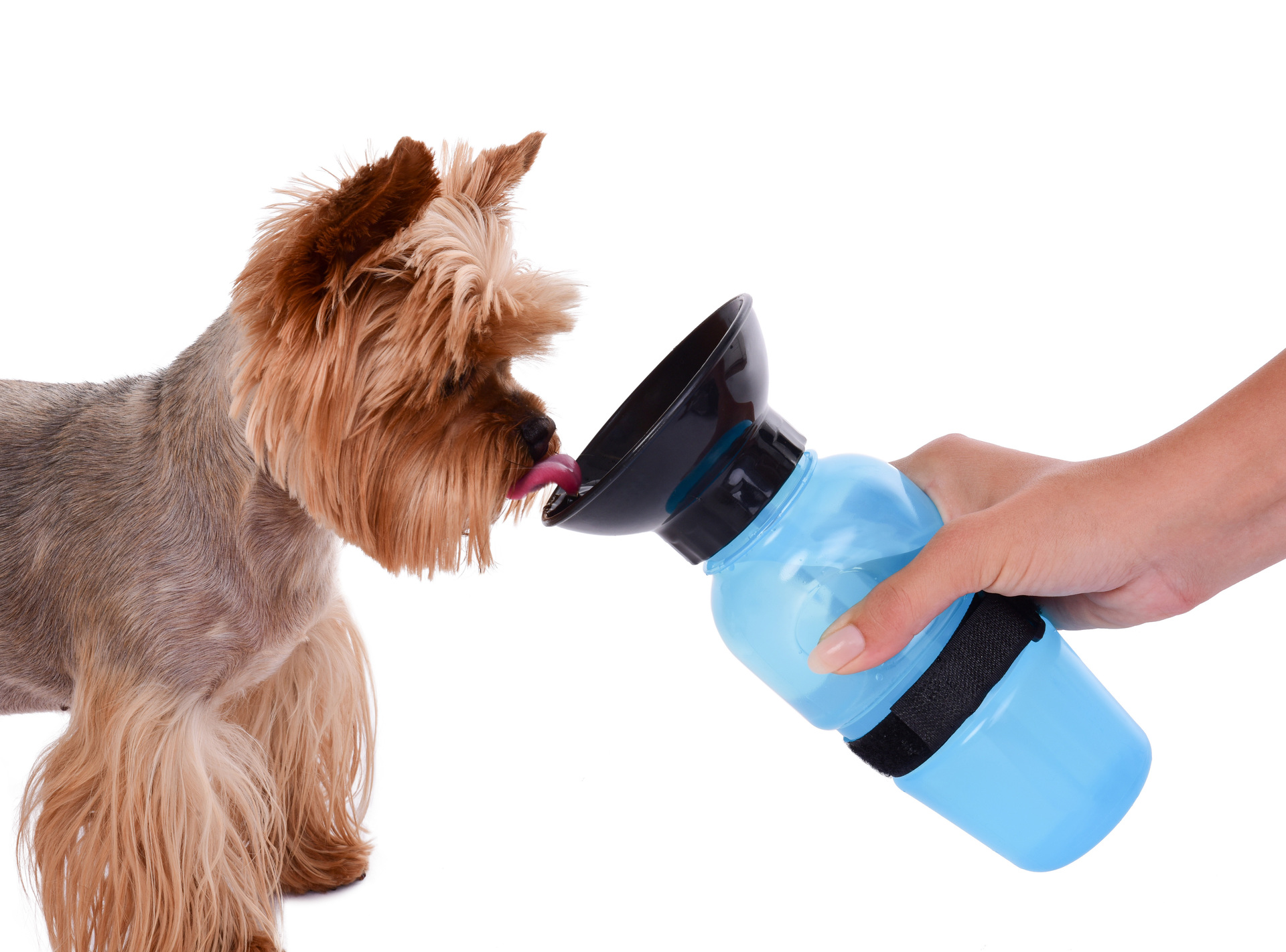 HAFBAR cestovní lahev s miskou pro psy
