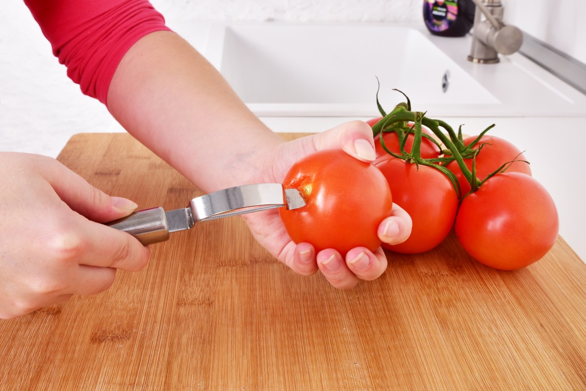 GOURMET nerezová kuchynská škrabka