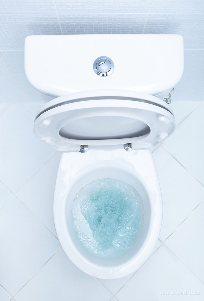 EKO samočistiace tablety do WC odpadu ECOTABS TOILET
