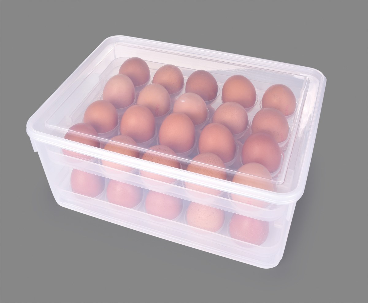DA31911-Uzatvárateľný box na vajíčka