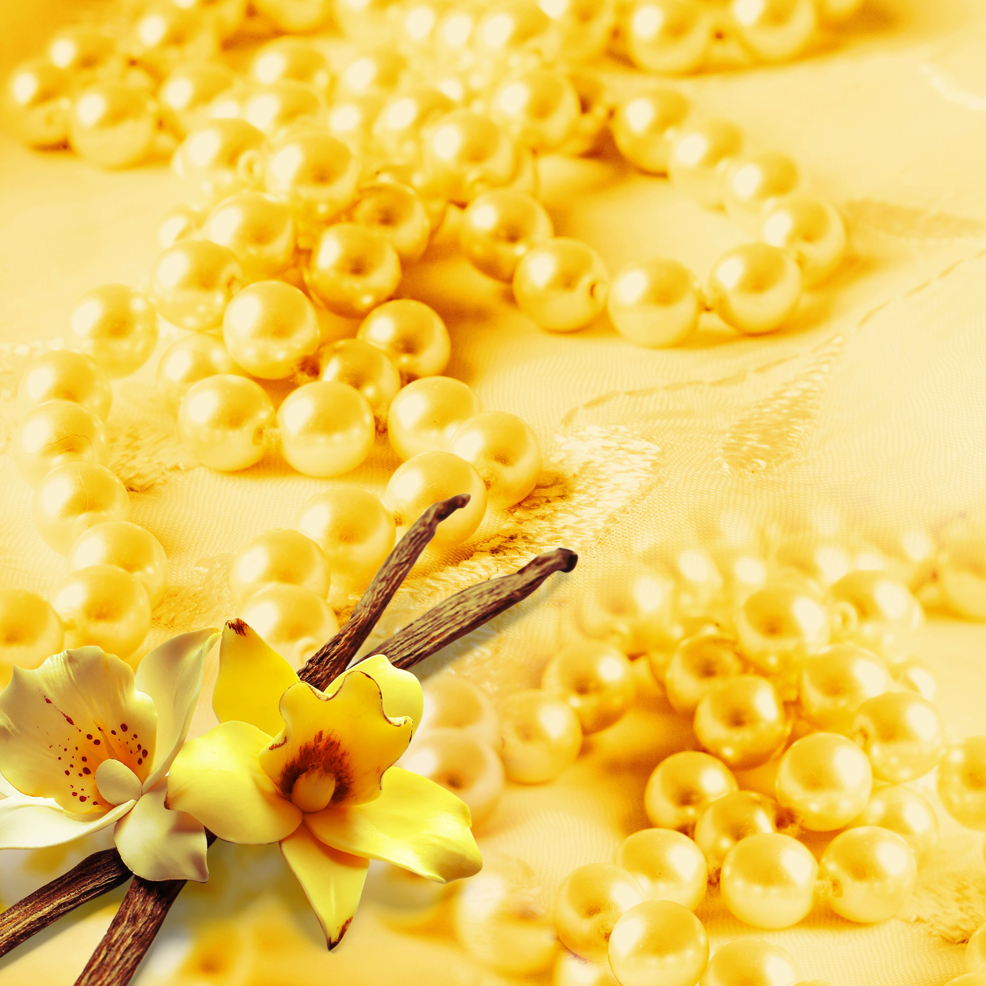 FLEUR DE VANILLE vonné vrecko - sašetka PARFUMIA®