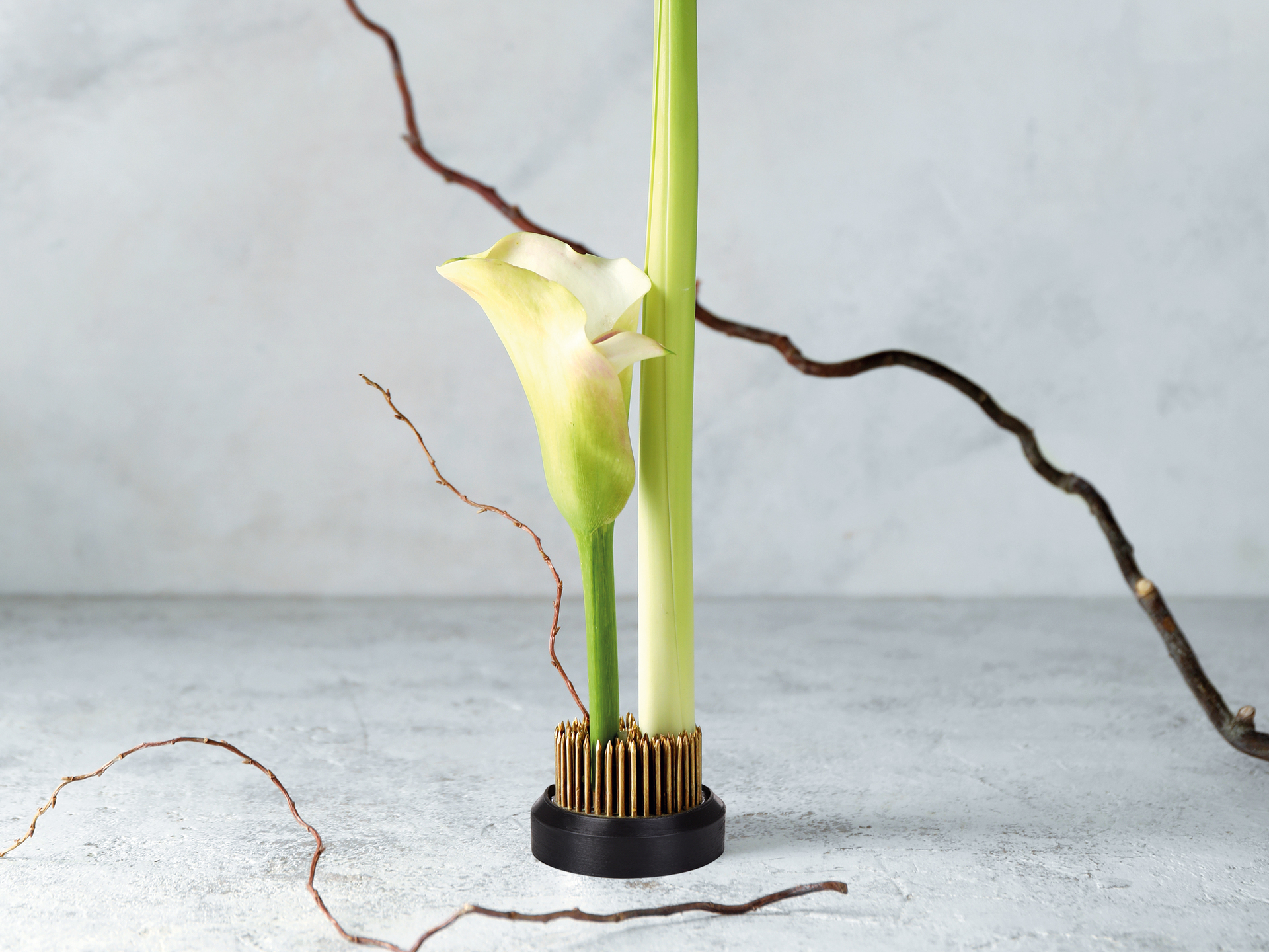 Levně IKEBANA | Aranžovací napichovací ježek na květiny | Ø 3,5 cm | 120 g