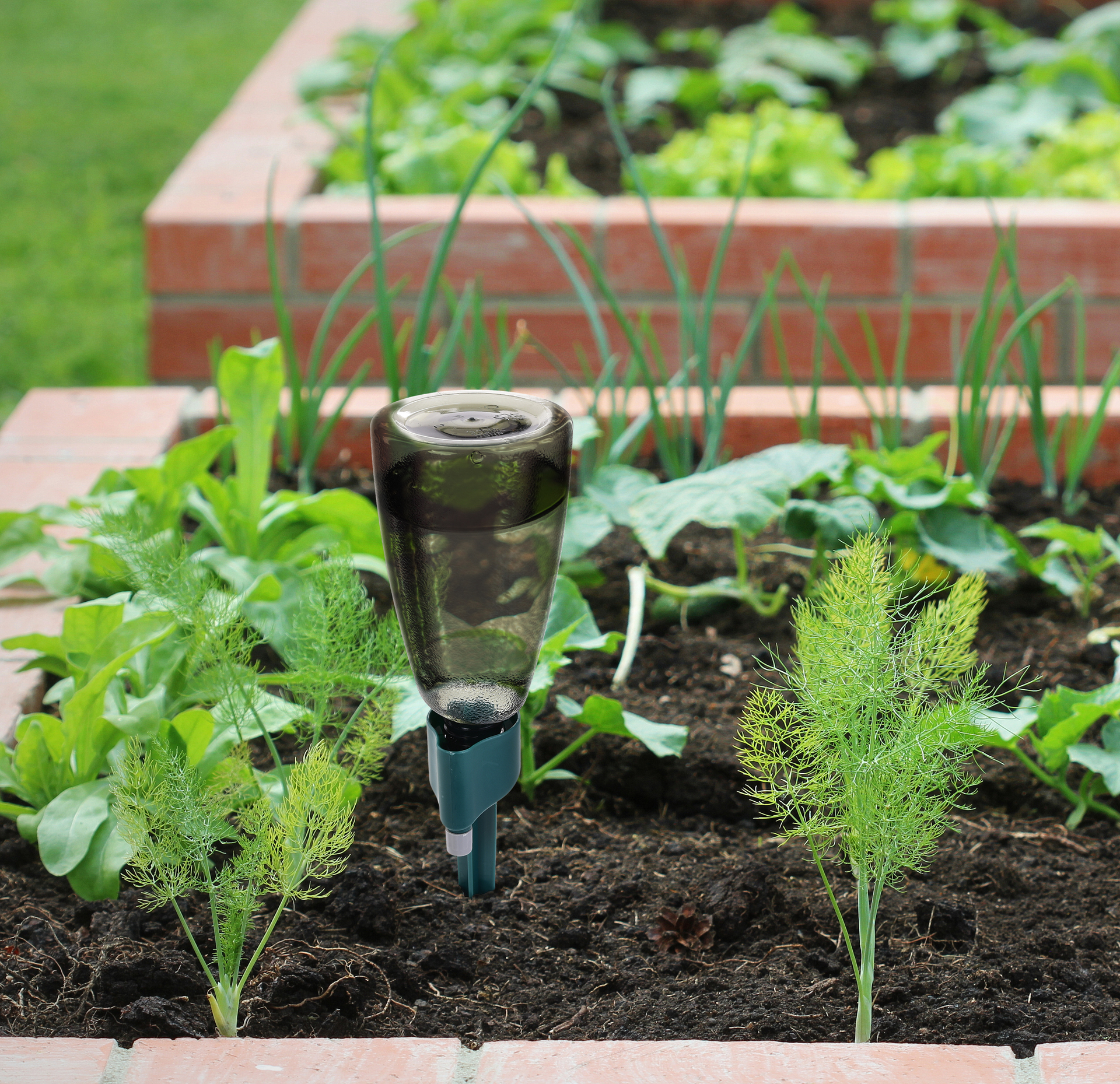 GoEco® samozavlažovací hrot pre kvety