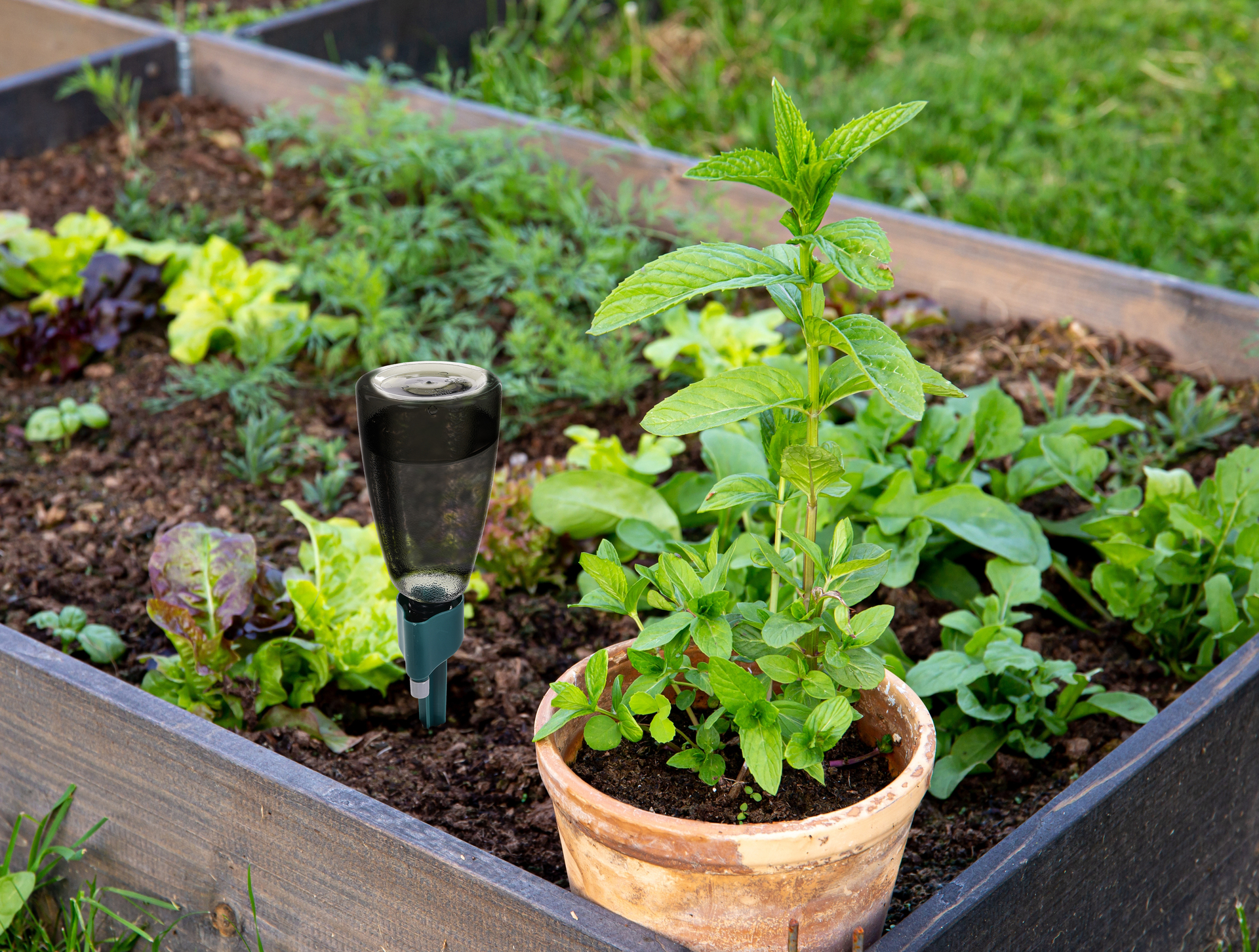 GoEco® samozavlažovací hrot pre kvety