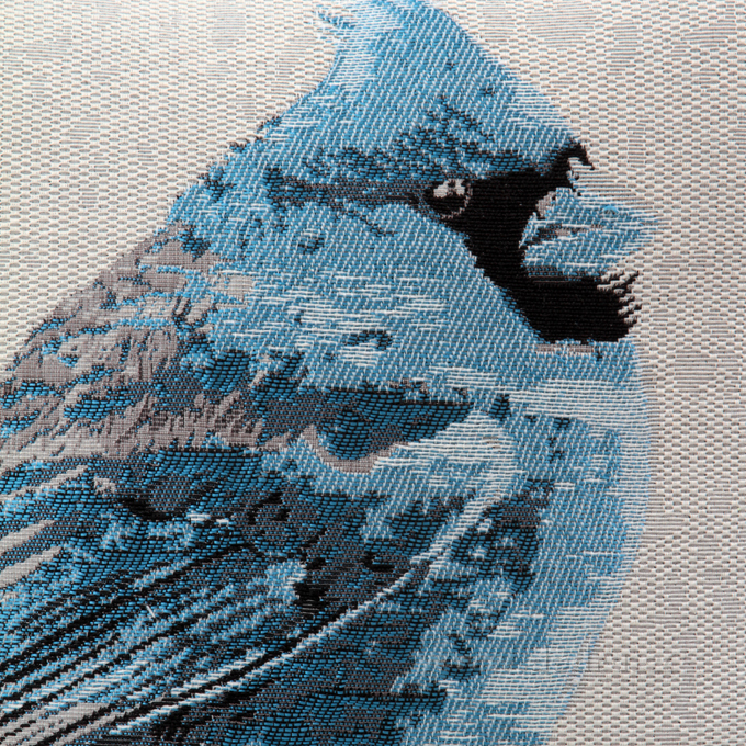 FC81213-Gobelíny poťah na vankúš obojstranný blue bird