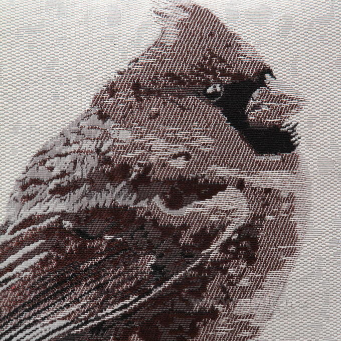 FC81215-Gobelíny poťah na vankúš obojstranný natural bird